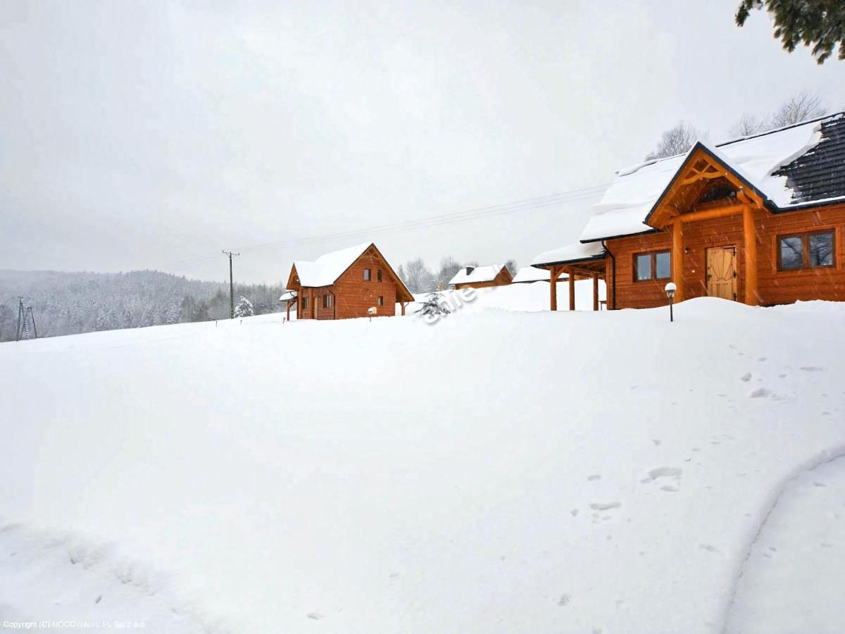 Villa Bieszczadzkie Dworki Ropienka Dolna *
